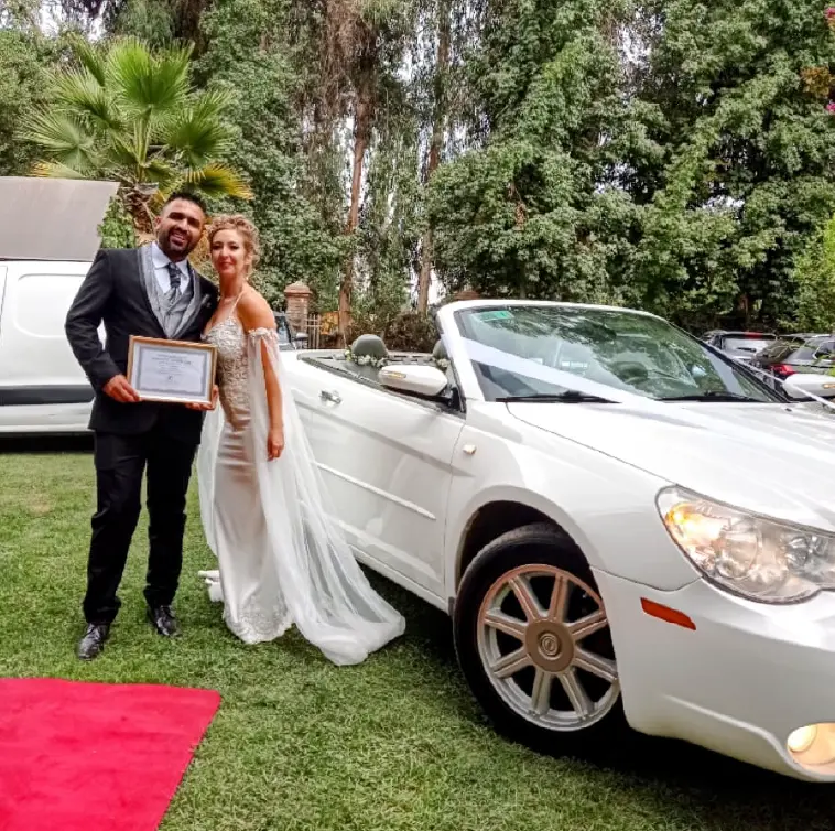 Novios - Dimontti